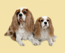 Links Caspar en rechts Lobke.